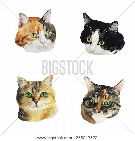 Watercolor Collection Of Four Cute Cats. Adorable Kitten.