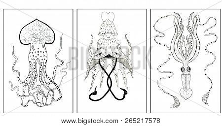 Collection Of Three Hand Drawn Octopus. Black And White Art