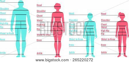 Man, Woman, Boy And Girl Size Chart. Human Front Side Silhouette. Isolated On White Background. Vect