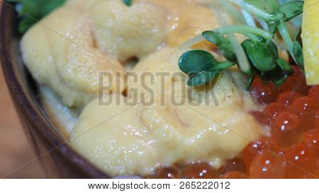 Close Up Kaisendon Or The Raw Fish On Rice Comes With Uni ,ikura , Crab . It Is Japanese Food.
