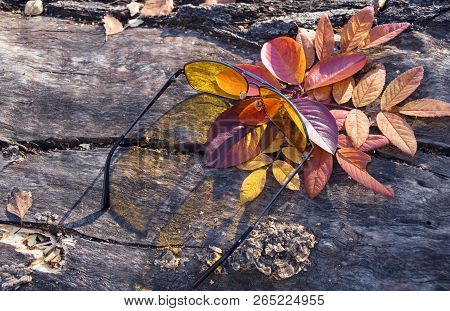 Light Flowing Throungh Yellow Sunglasses On Autumn Leaves