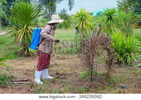 Agriculturist. Spraying Pesticides Fertilizers, Agriculturist Uses Chemicals On The Farm, Farmers Us