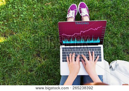 Cropped Image Of Woman Using Laptop With Traiding Appliance In Park