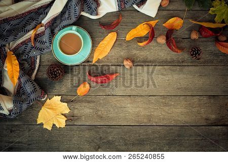 Autumn Background On An Old Wooden Background. Top View.