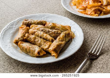 Turkish Dolma Lahana Sarmasi / Cabbage Rolls.