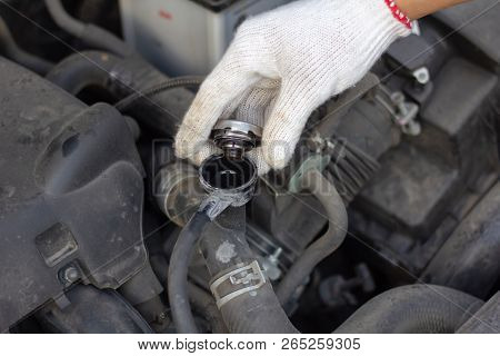 Mechanic Man Checking Radiator Cooling Tank. Driver Check The Car Engine Ready, Safety Before Depart