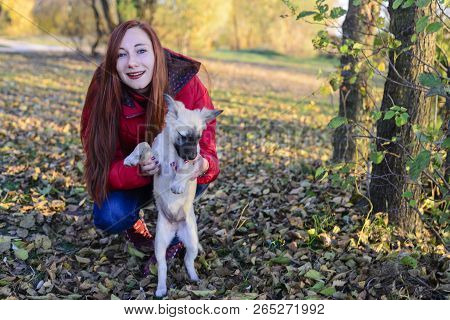 A Girl Holds A Dog In A Meadow Covered With Leaves In Autumn
