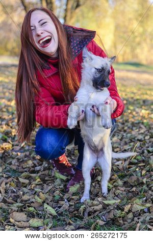 A Girl Holds A Dog In A Meadow Covered With Leaves In Autumn