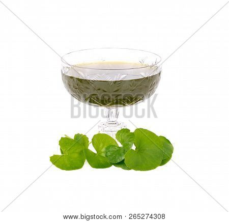 Centella Asiatica, Asiatic Pennywort,(centella Asiatica (linn.) Urban.) Water Pennywort Drink.