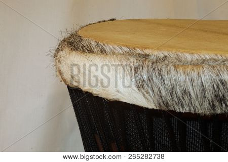 Up-close View Of A Wooden African Djembe Design With Goatskin Head, Deer Fur Rim And Tuning Ropes Fr