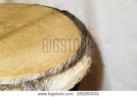 Up-close View Of An African Djembe Goatskin Head And Deer Fur Around The Rim On The Left Side Of The