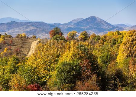 Amazing Autumn Landscape Of Cherna Gora (monte Negro) Mountain, Pernik Region, Bulgaria