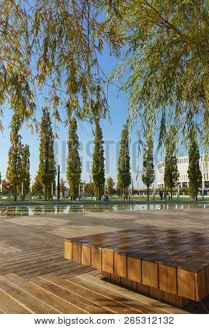 Wooden Benches Under The Willows On The Terrace Near The Pond Of The New City Park Krasnodar Near Th