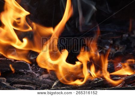 Fire Flame Smoke Embers To Fry On The Street Close-up