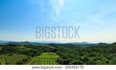 The Fields Of Friuli Venezia-giulia Cultivated With Grapevines
