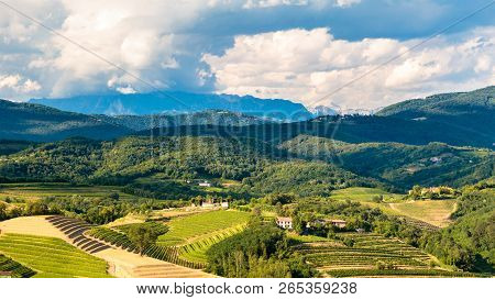 The Beautiful Vineyard Of Collio, Friuli Venezia-giulia, Italy