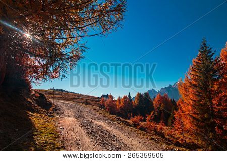 Autumn Trekking In The Alpine Pusteria Valley