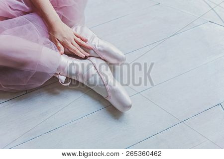Hands Of Ballerina In Pink Tutu Skirt Puts On Pointe Shoes On Leg In White Light Hall. Young Classic