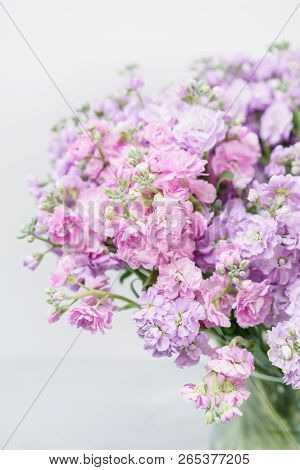 Bouquet Of Beautiful Lilac Color Gillyflower, Levkoy Or Matthiola. Spring Flowers In Vase On Wooden 