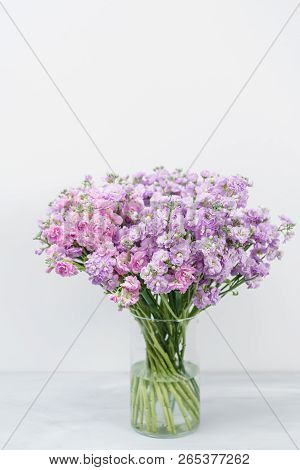 Bouquet Of Beautiful Lilac Color Gillyflower, Levkoy Or Matthiola. Spring Flowers In Vase On Wooden 