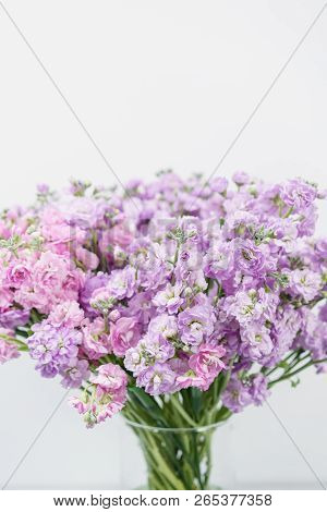 Bouquet Of Beautiful Lilac Color Gillyflower, Levkoy Or Matthiola. Spring Flowers In Vase On Wooden 