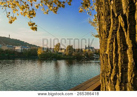 View Of Colorful Autumn Landscape, Tree Bark, Yellow Linden Leaves, Red Brick Fence, River Moldau, P