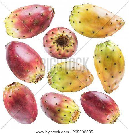 Prickly pears or opuntia fruits collection on white background. File contains clipping path.