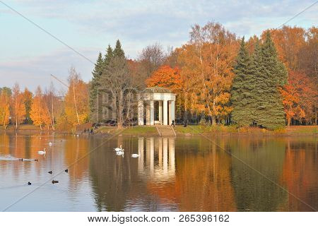 Autumn Landscape In Primorskiy Victory Park On Krestovsky Island In Saint Petersburg, Russia.