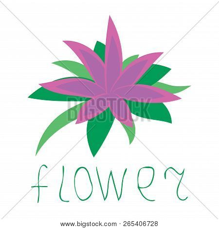Tropical Flower, Plumeria,  Isolated On White Background. Hand Drawn Word Flower. Logo, Icon. Vector