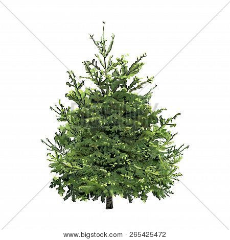 Fir-tree With Green Needles, The Color Vector Image On A White Background