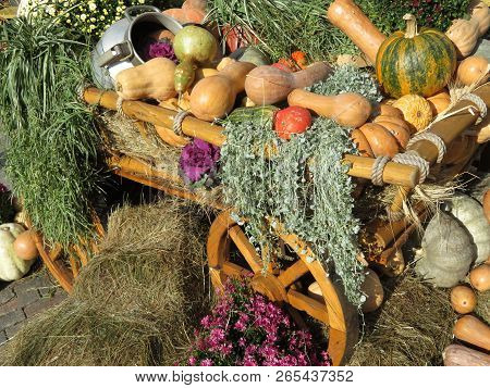 Wooden Cart With Pumpkins. Thanksgiving Day Concept, Autumn Harvest Holiday, Festive Decorations Wit