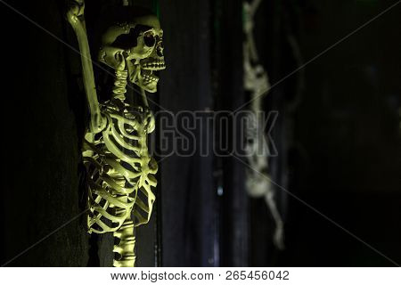 Skeleton Hanging In The Darkness Ready To Scare People. Intentional Motion Blur To Convey Movement A