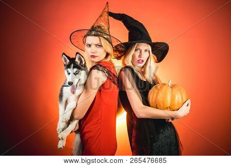 Stylish Sexy Girls Best Friends Ready For Party, Over Orange Background. Best Friends Girls Celebrat