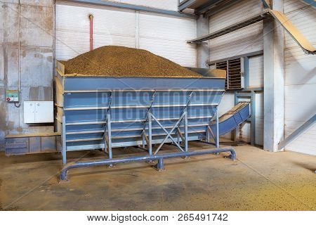 Granules Of Rape Cakes In The Agricultural Factory For The Production Of Rapeseed Oil.