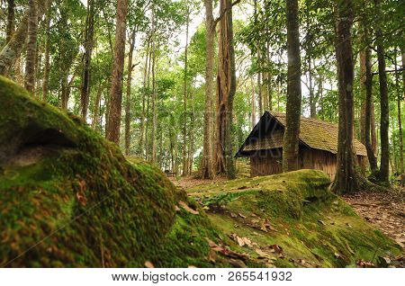 An Abandoned Wooden Lodge In The Middle Of The Scrubland And Wet Rocks.