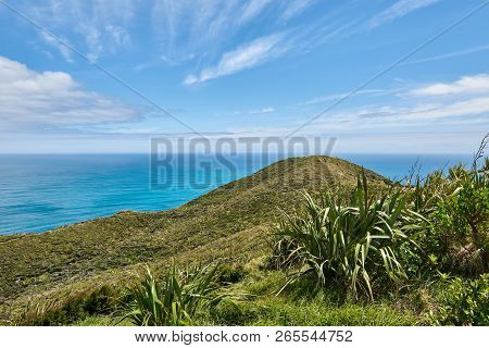 Scenic Views Of Beautiful Landscape At Cape Reinga In New Zealand