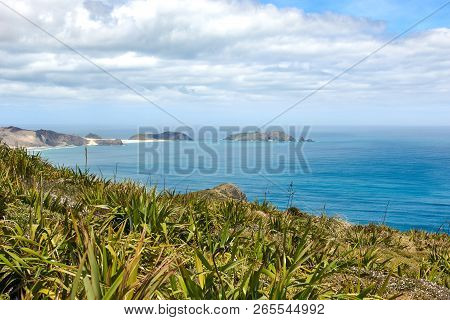 Scenic Views Of Beautiful Landscape At Cape Reinga In New Zealand