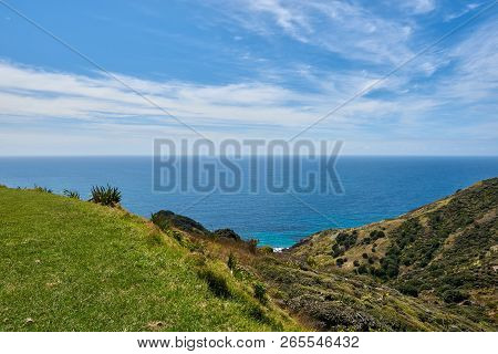 Scenic Views Of Beautiful Landscape At Cape Reinga In New Zealand