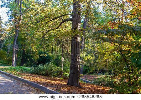 The National Botanic Garden