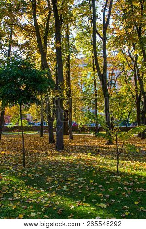 Taras Shevchenko Park (green Building)