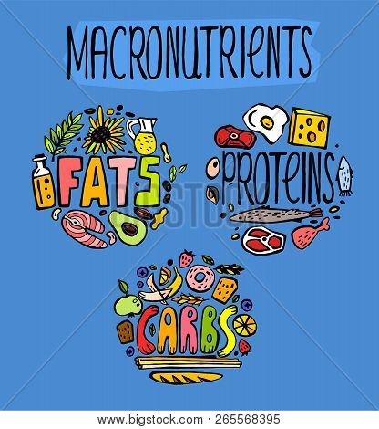 Main Food Groups - Macronutrients. Carbohydrates, Fats And Proteins In Doodle Style. Dieting, Health