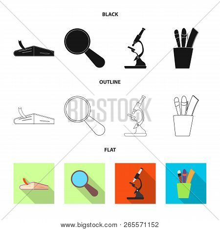 Isolated Object Of Education And Learning Logo. Set Of Education And School Stock Vector Illustratio