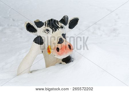 Funny Sculpture Of A Cow Lie Under The Snow In Winter