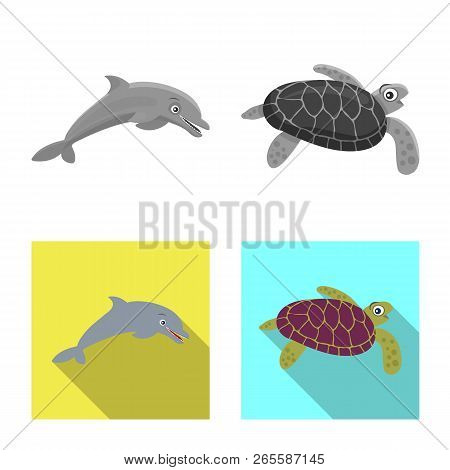 Vector Design Of Sea And Animal Logo. Collection Of Sea And Marine Stock Vector Illustration.