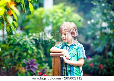 Little Blond Preschool Kid Boy Discovering Plants, Flowers And Butterflies At Botanic Garden