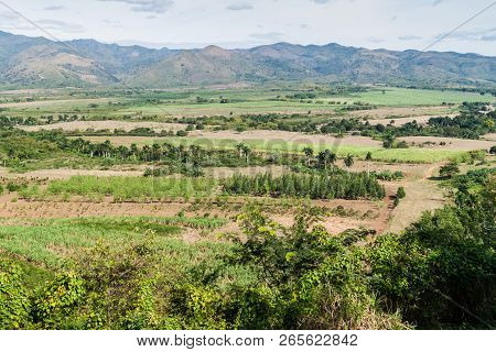 Valle De Los Ingenios Valley Near Trinidad, Cuba