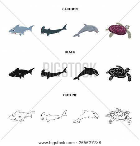 Vector Design Of Sea And Animal Symbol. Collection Of Sea And Marine Stock Vector Illustration.