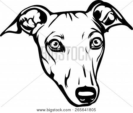 Animal Dog Greyhound 4R5R.eps