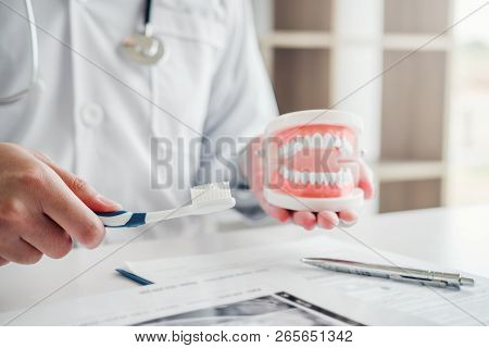 Dentist Learning How To Brush Teeth Concept
