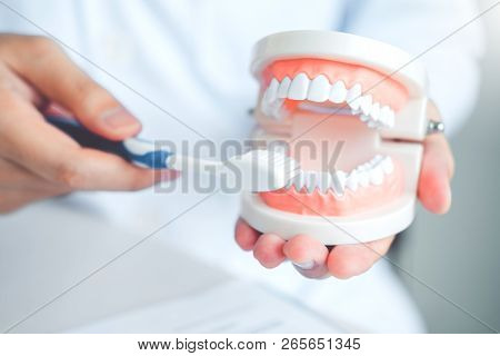 Dentist Learning How To Brush Teeth Concept